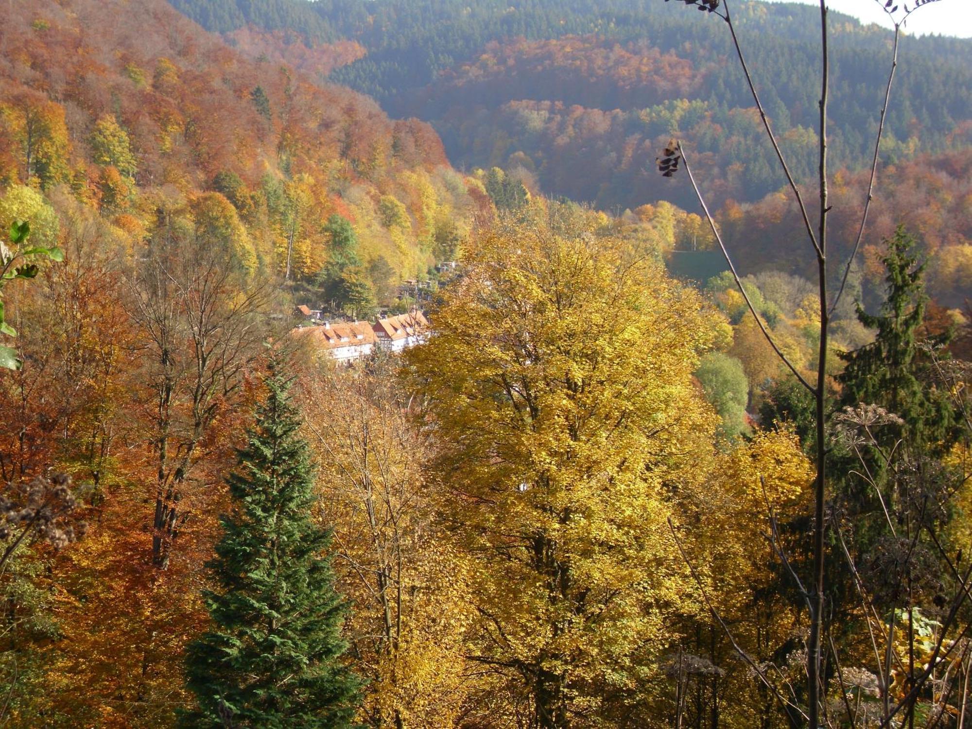 Naturkost-Hotel Harz Bad Grund Extérieur photo